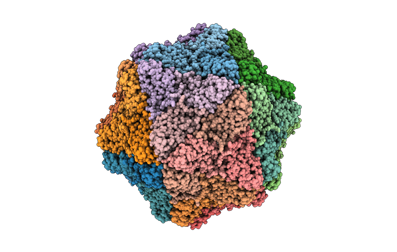 4RFT image