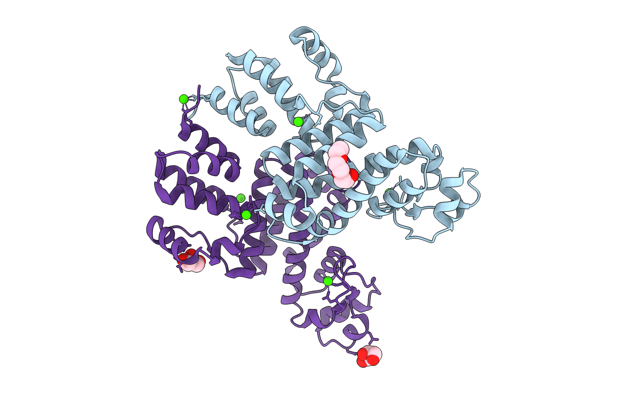 4RGP image