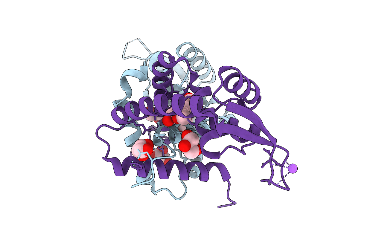 4RGU image