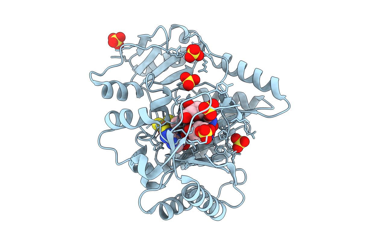 4RH1 image