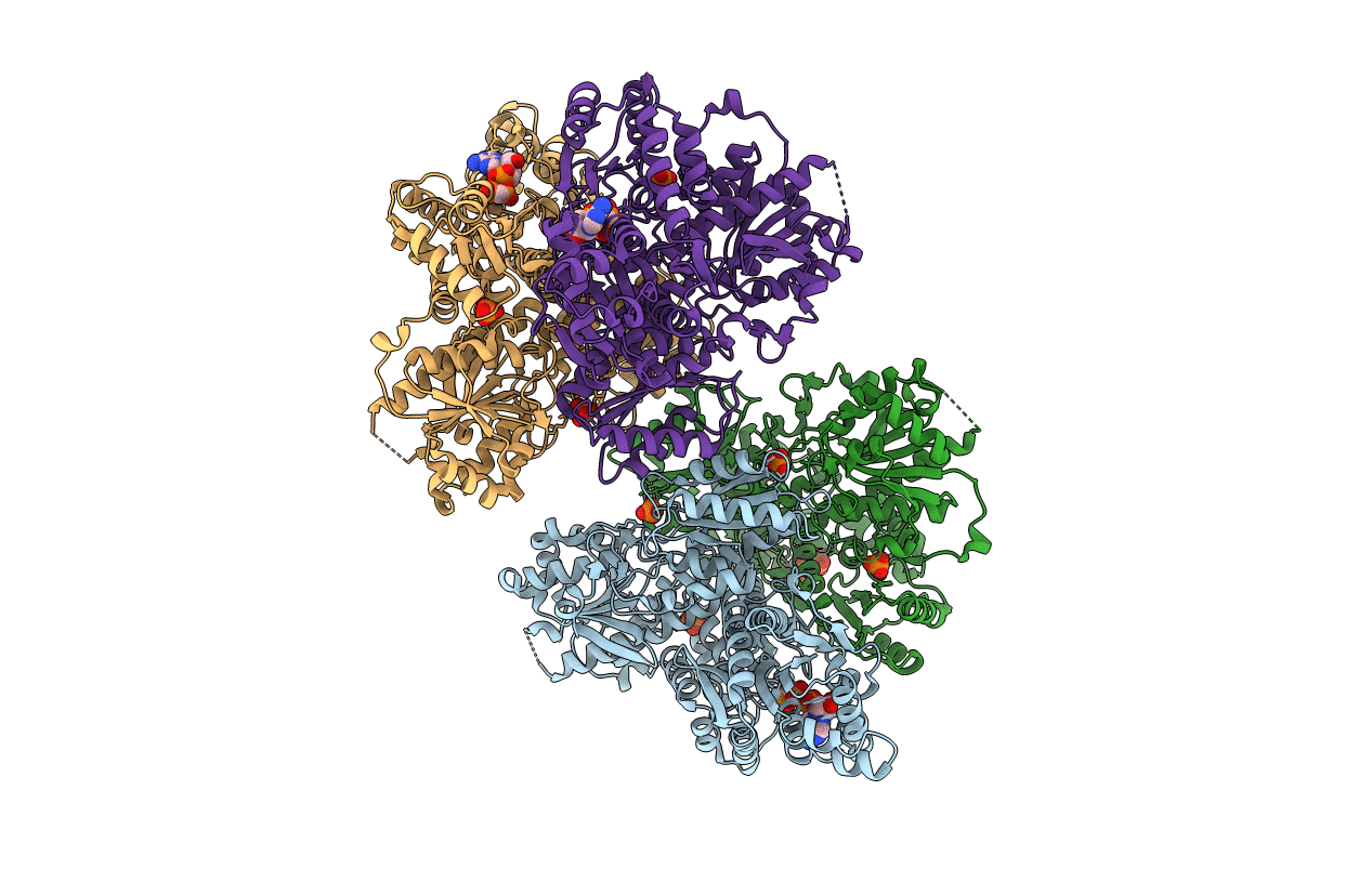 4RH3 image
