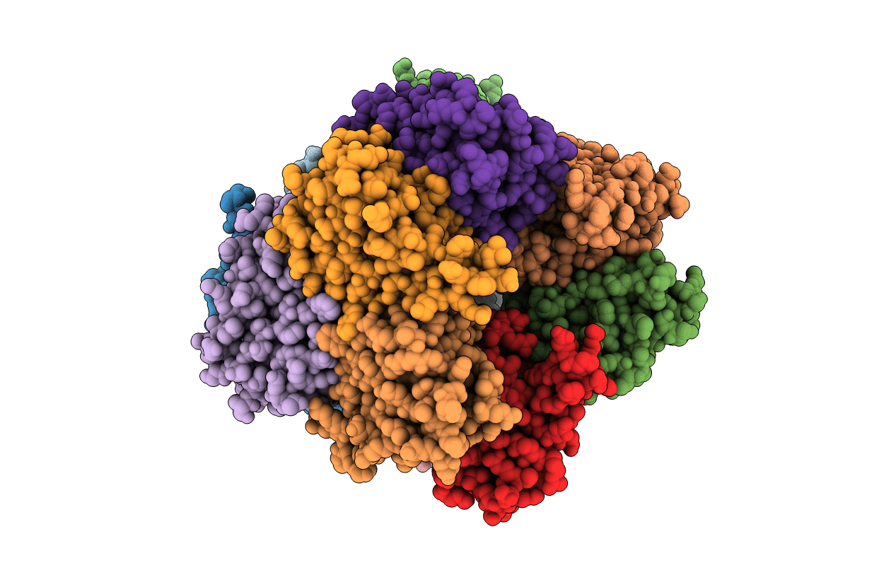 4RHC image