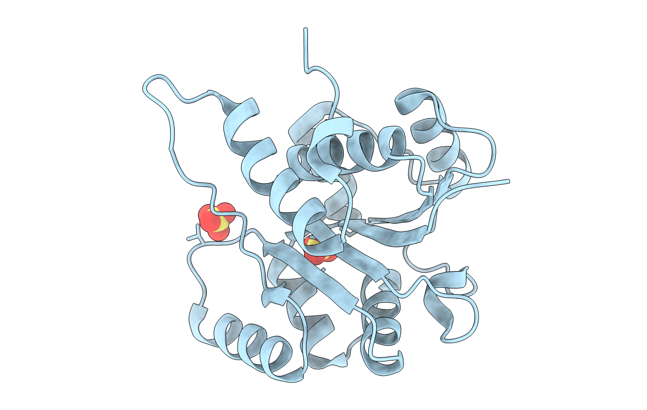 4RHF image