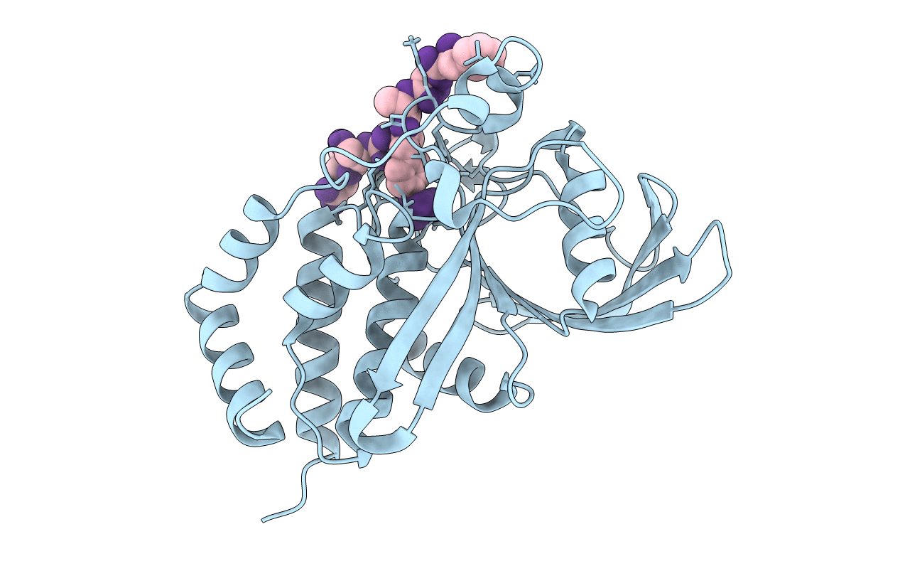 4RHG image