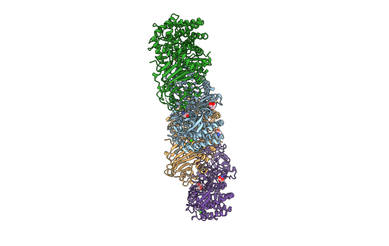 4RHH image