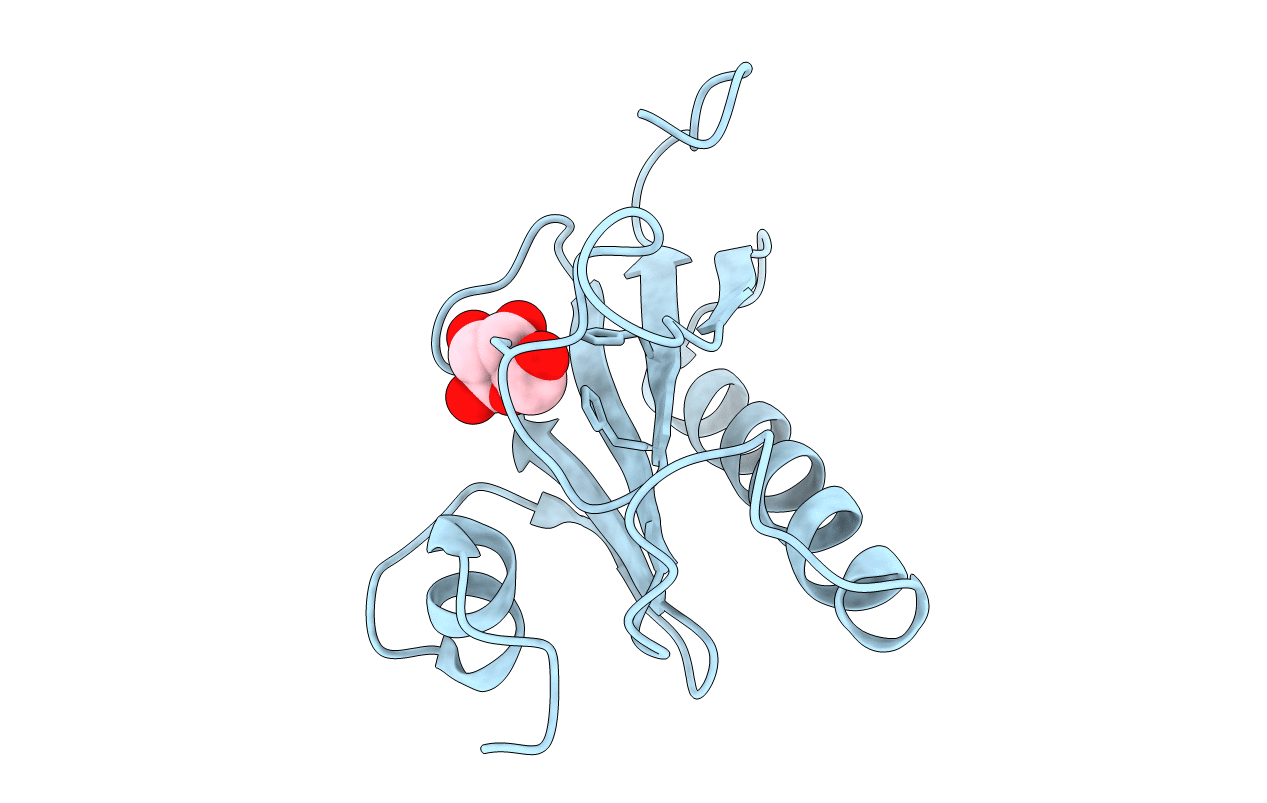 4RHN image