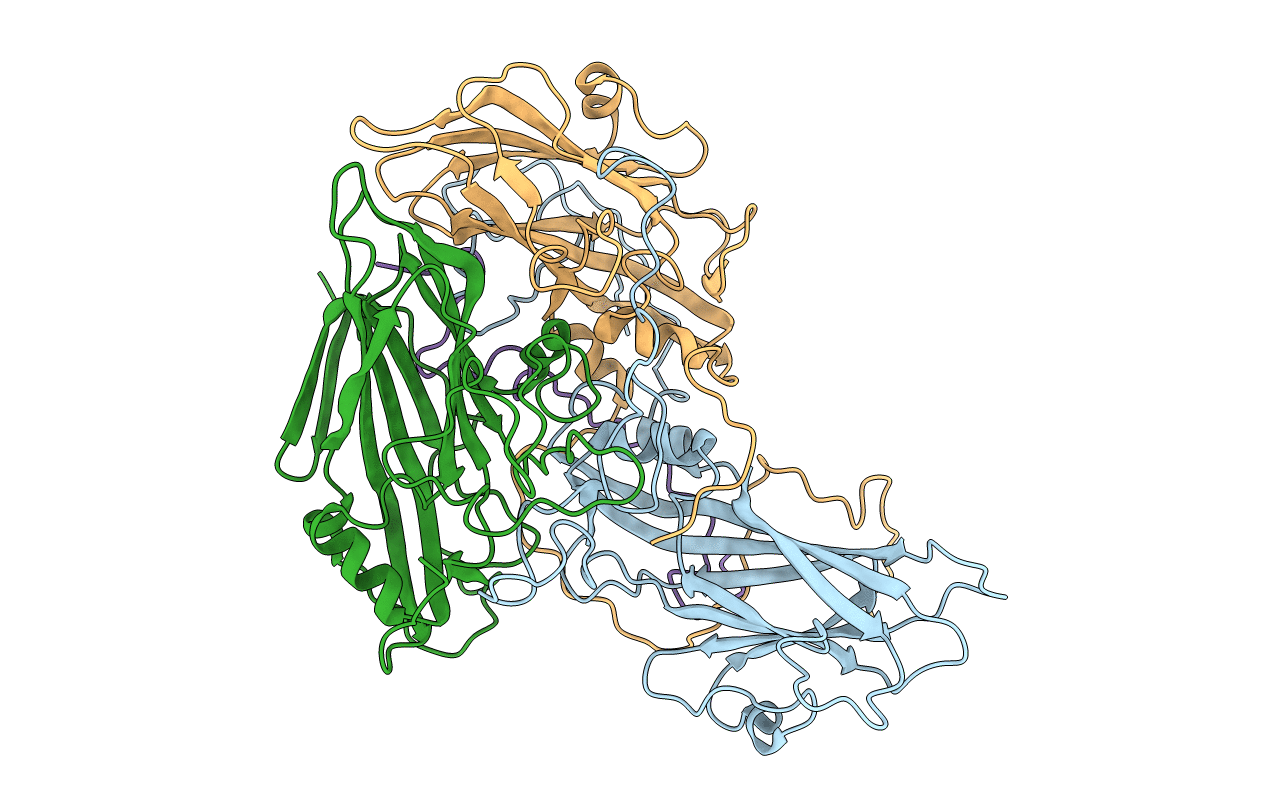 4rhv image