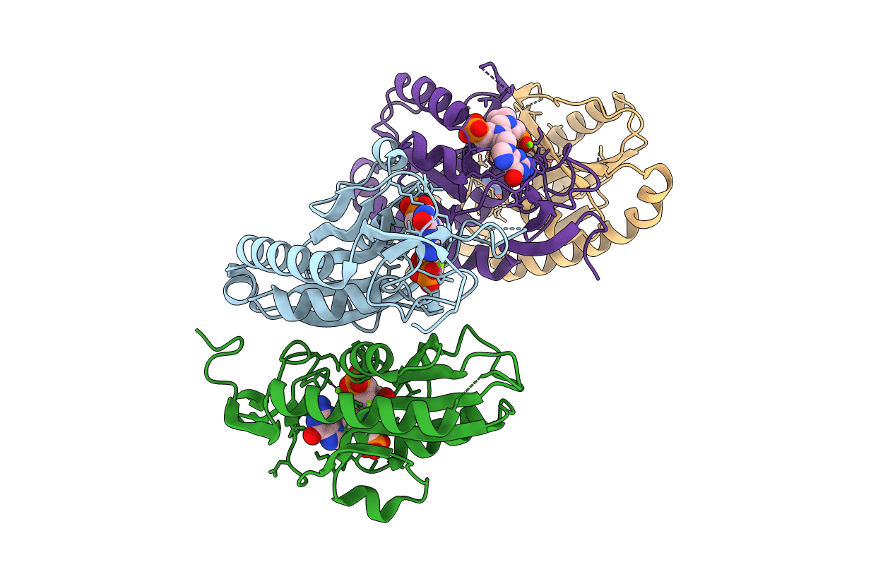 4RHX image