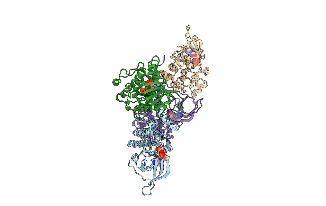 4RIX image