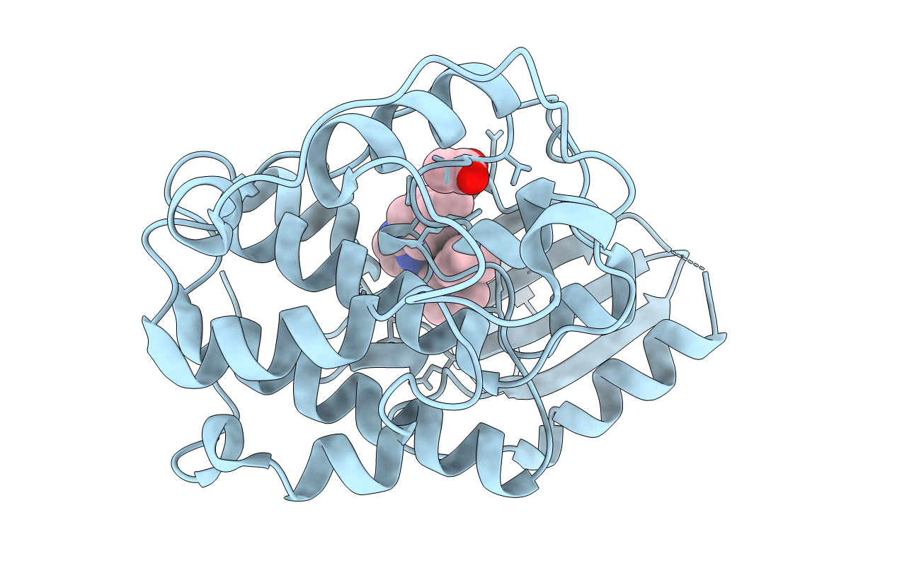 4RJ3 image