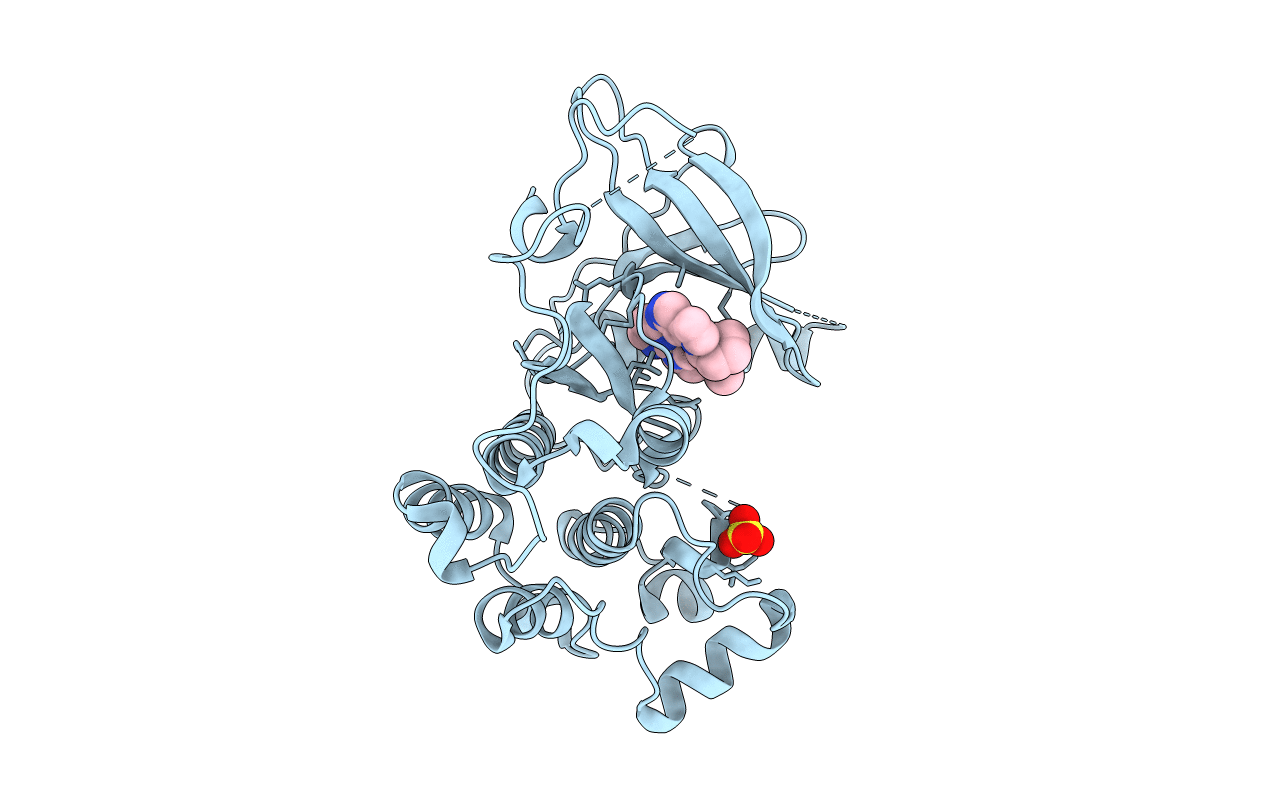 4RJ8 image