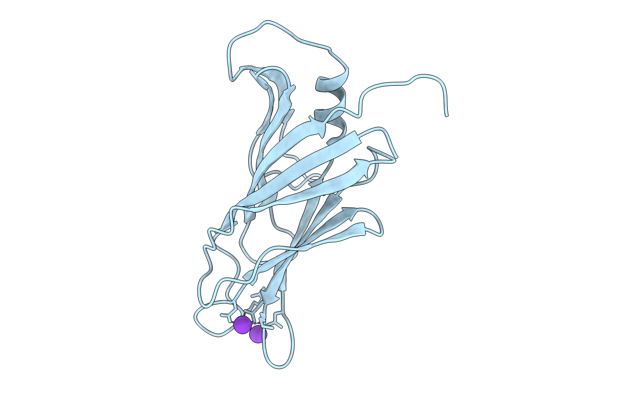 4RJ9 image