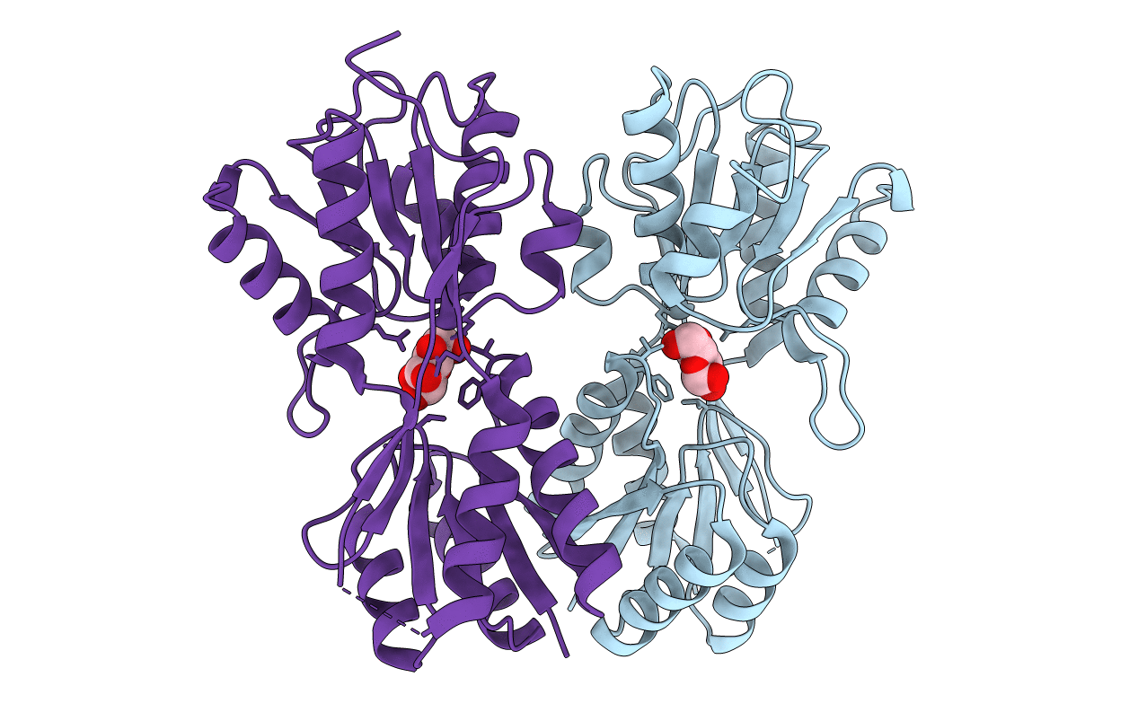4RK6 image