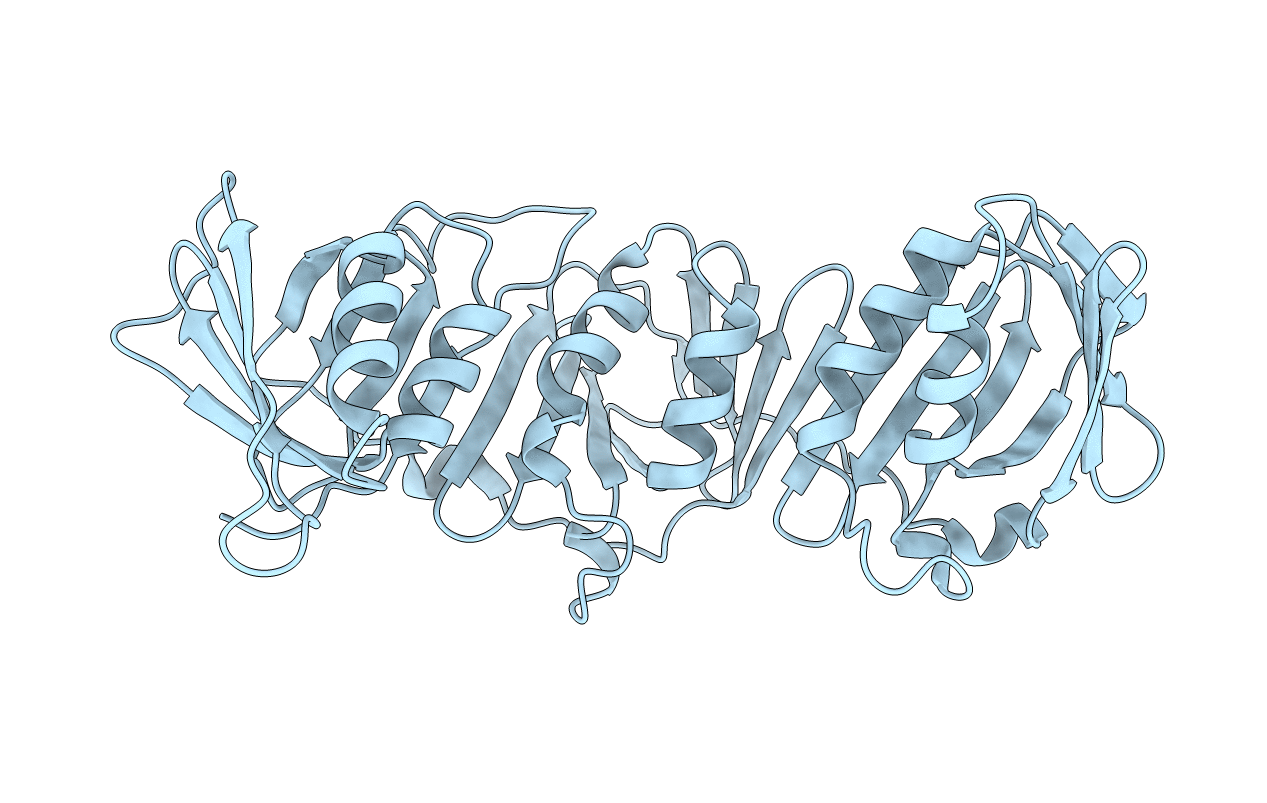 4RKI image