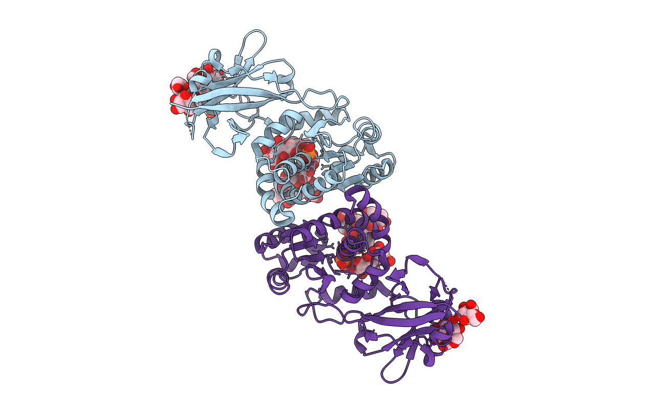 4RKK image