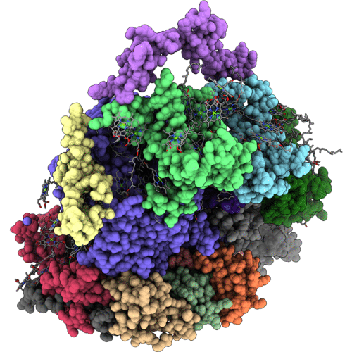 4RKU image