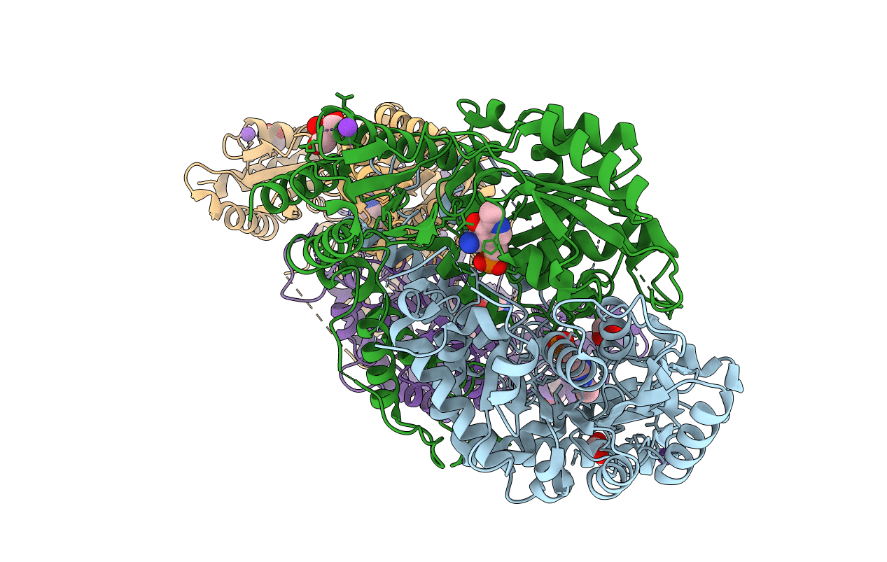 4RLG image