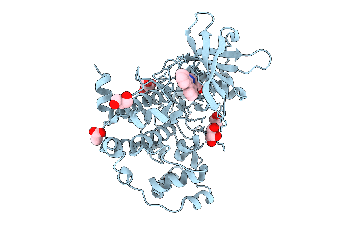 4RLK image