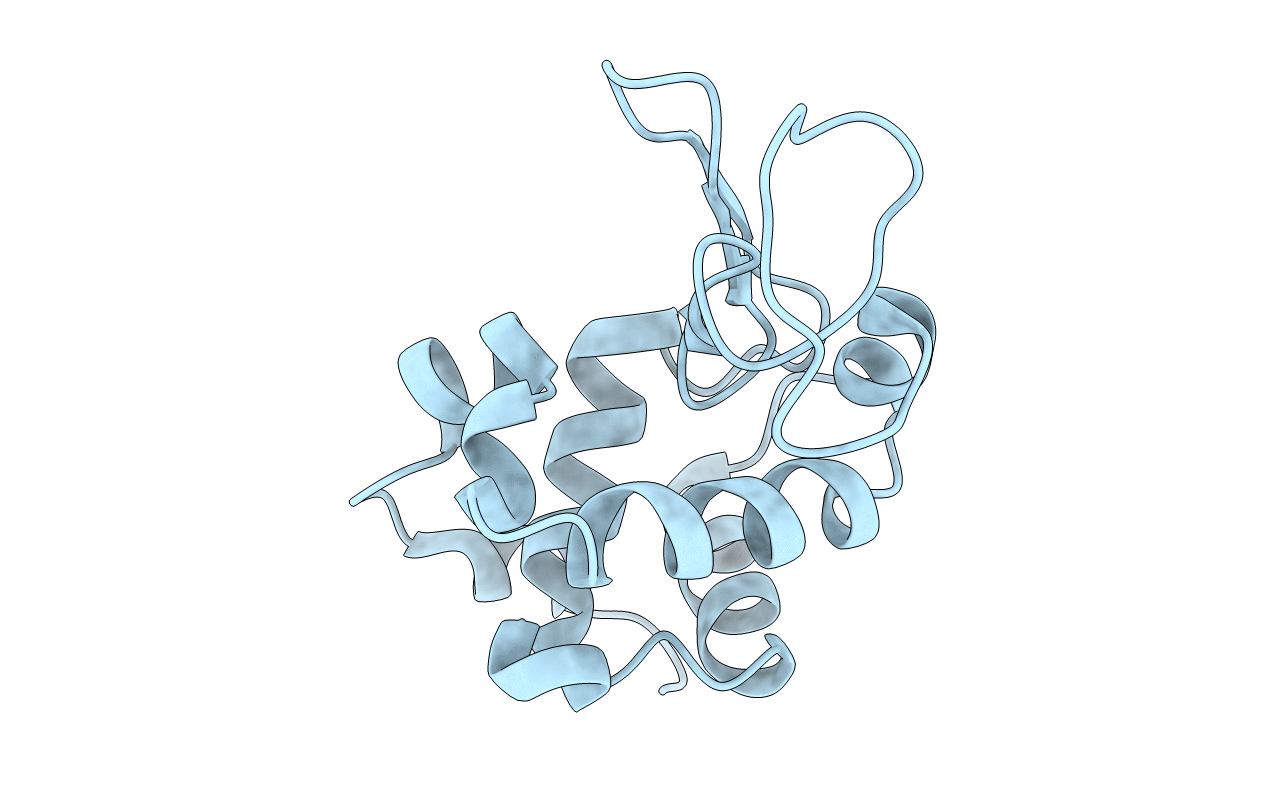 4RLM image