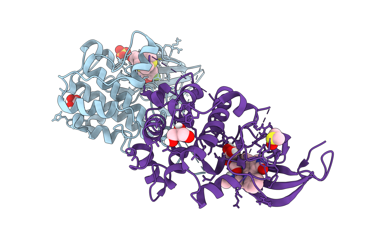 4RLO image