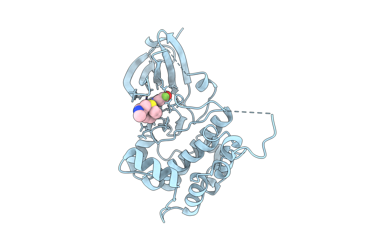 4RLP image