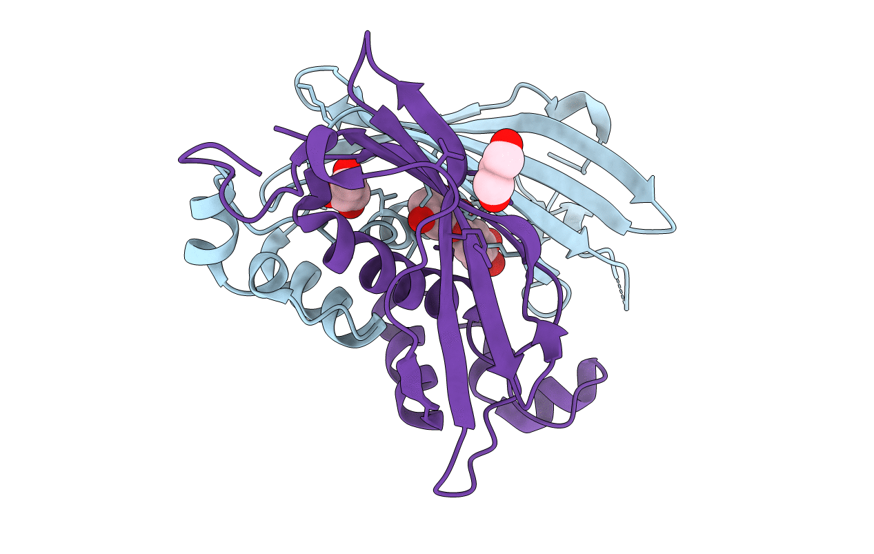 4RLT image