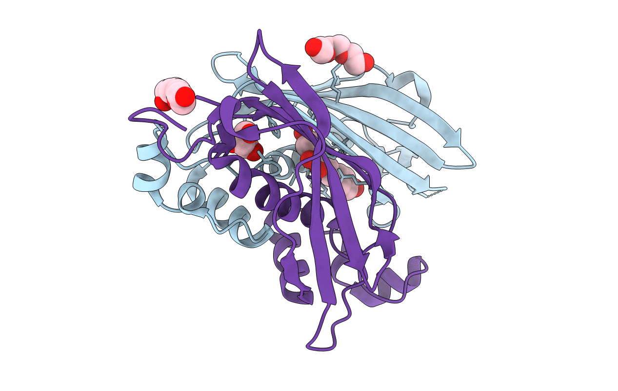 4RLU image