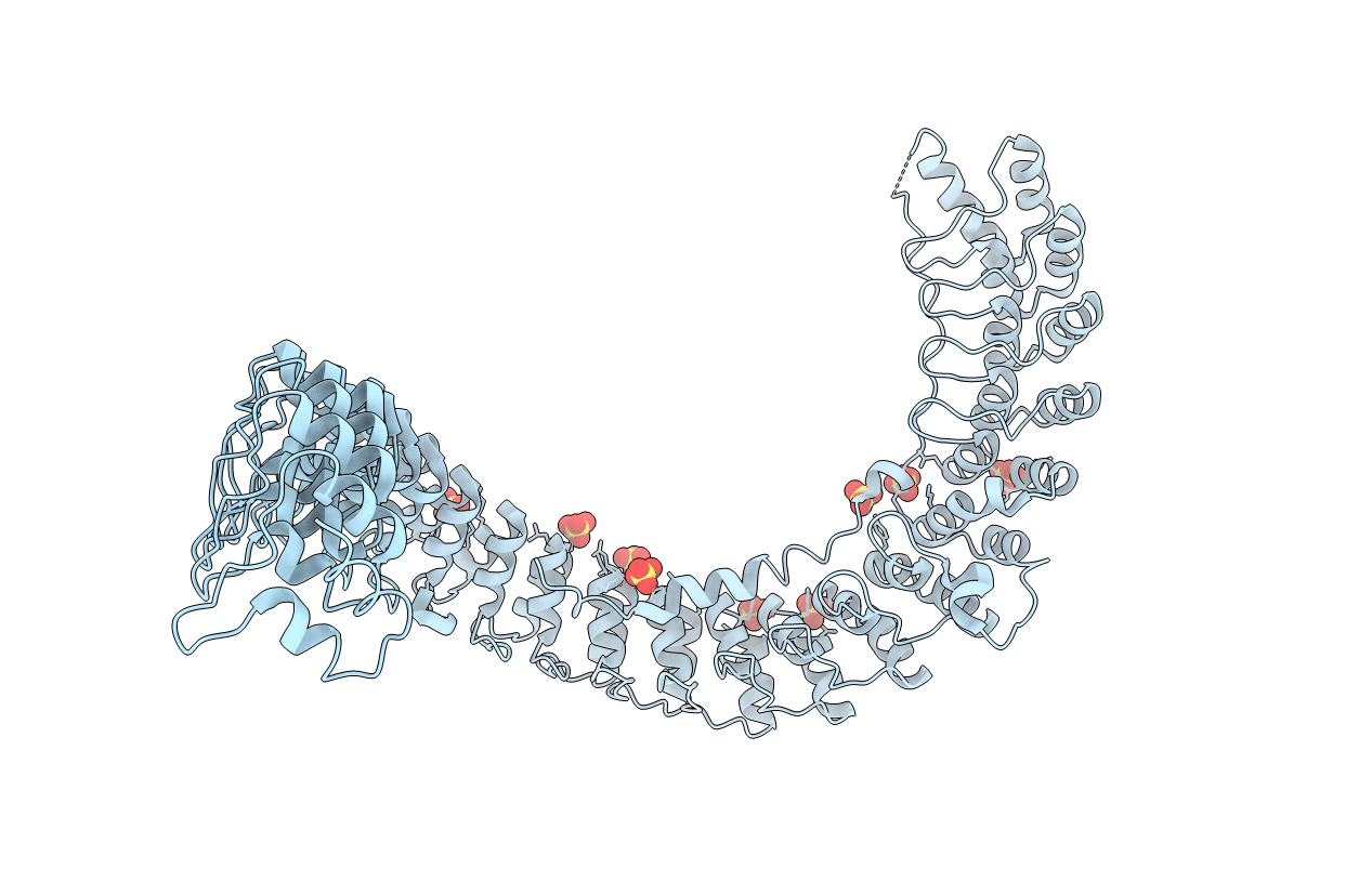 4RLV image