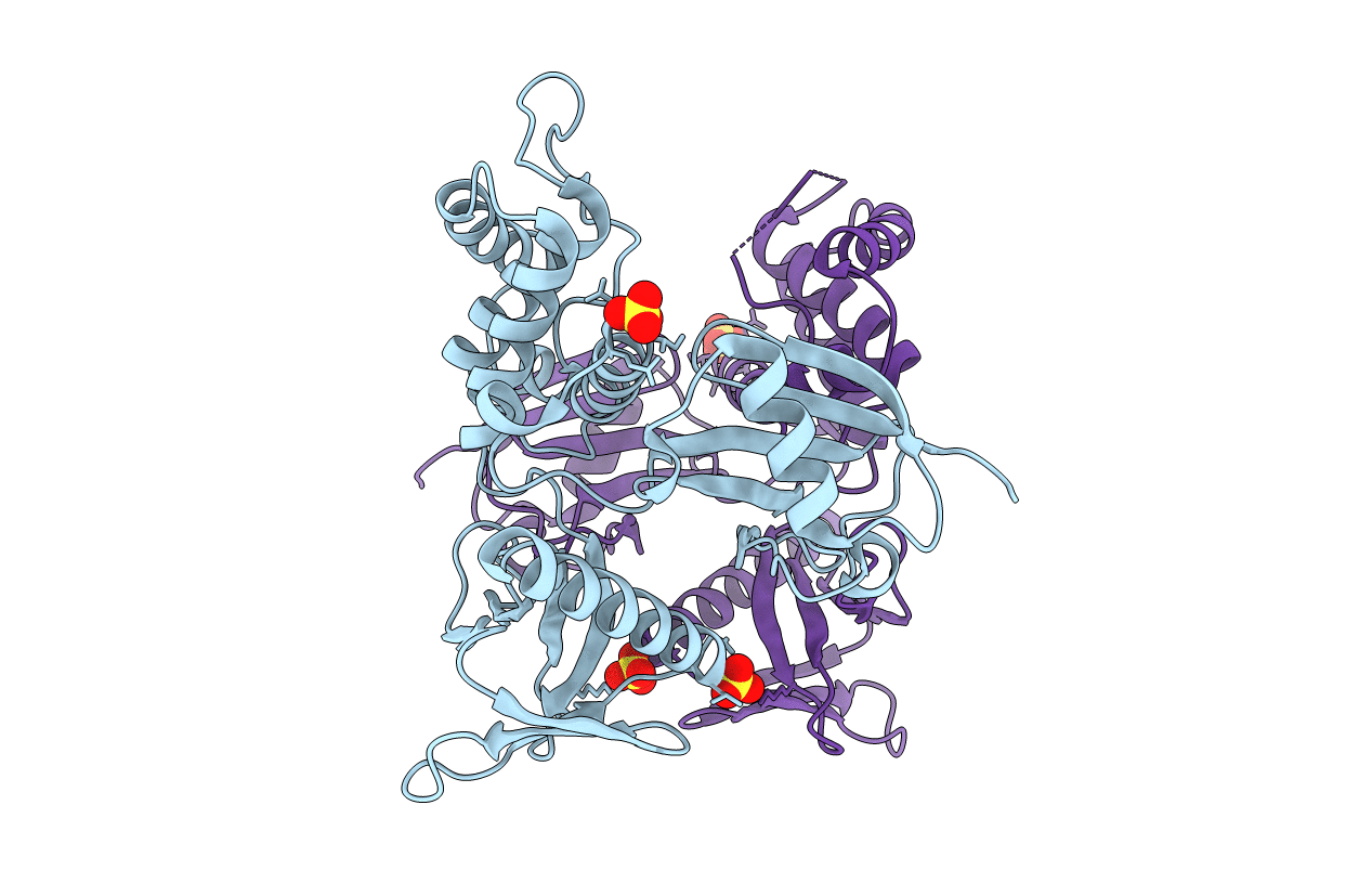 4RMA image
