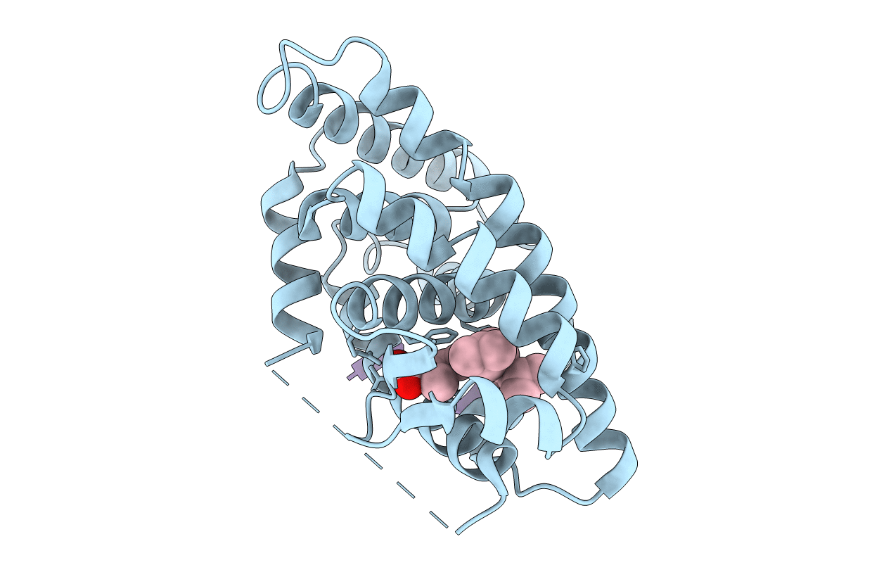 4RME image