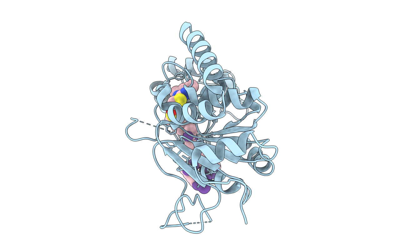 4RMI image