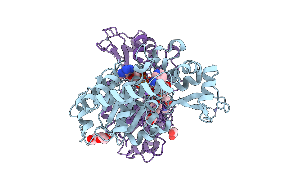 4RMJ image