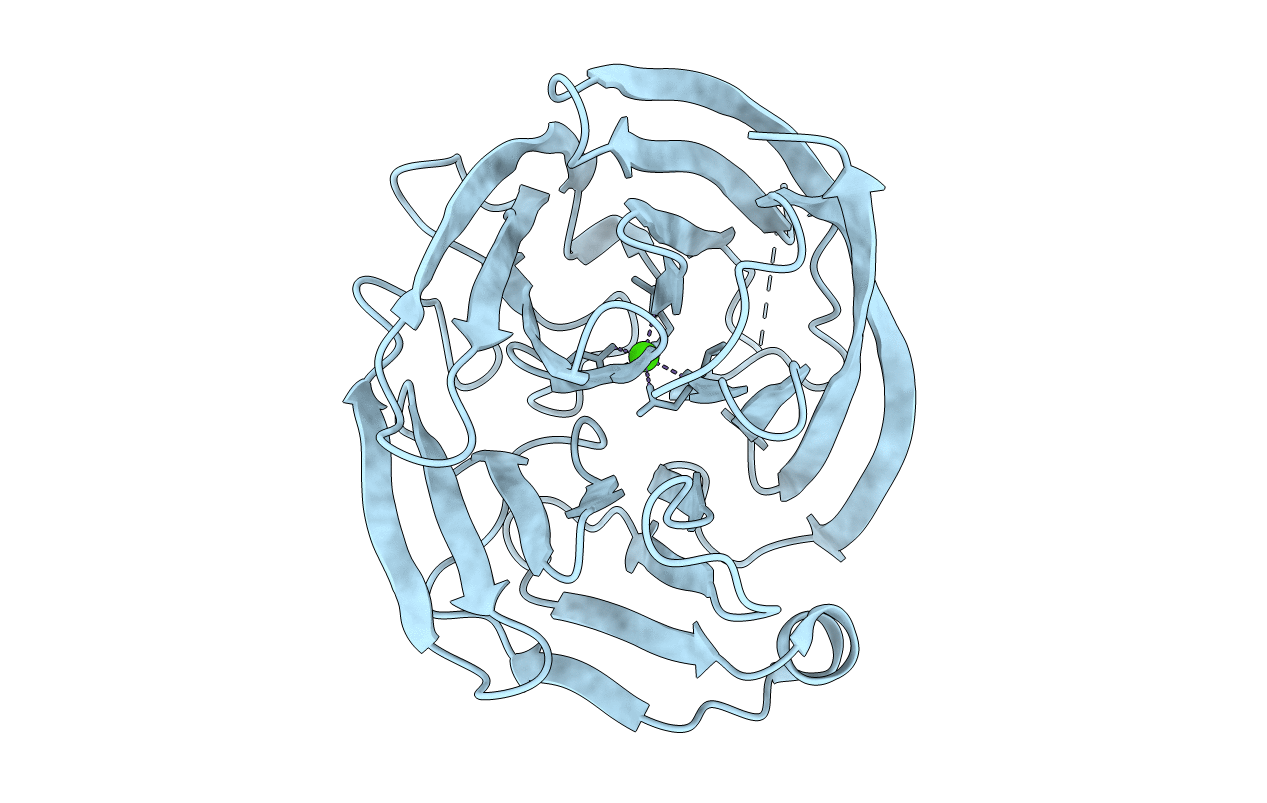 4RMK image