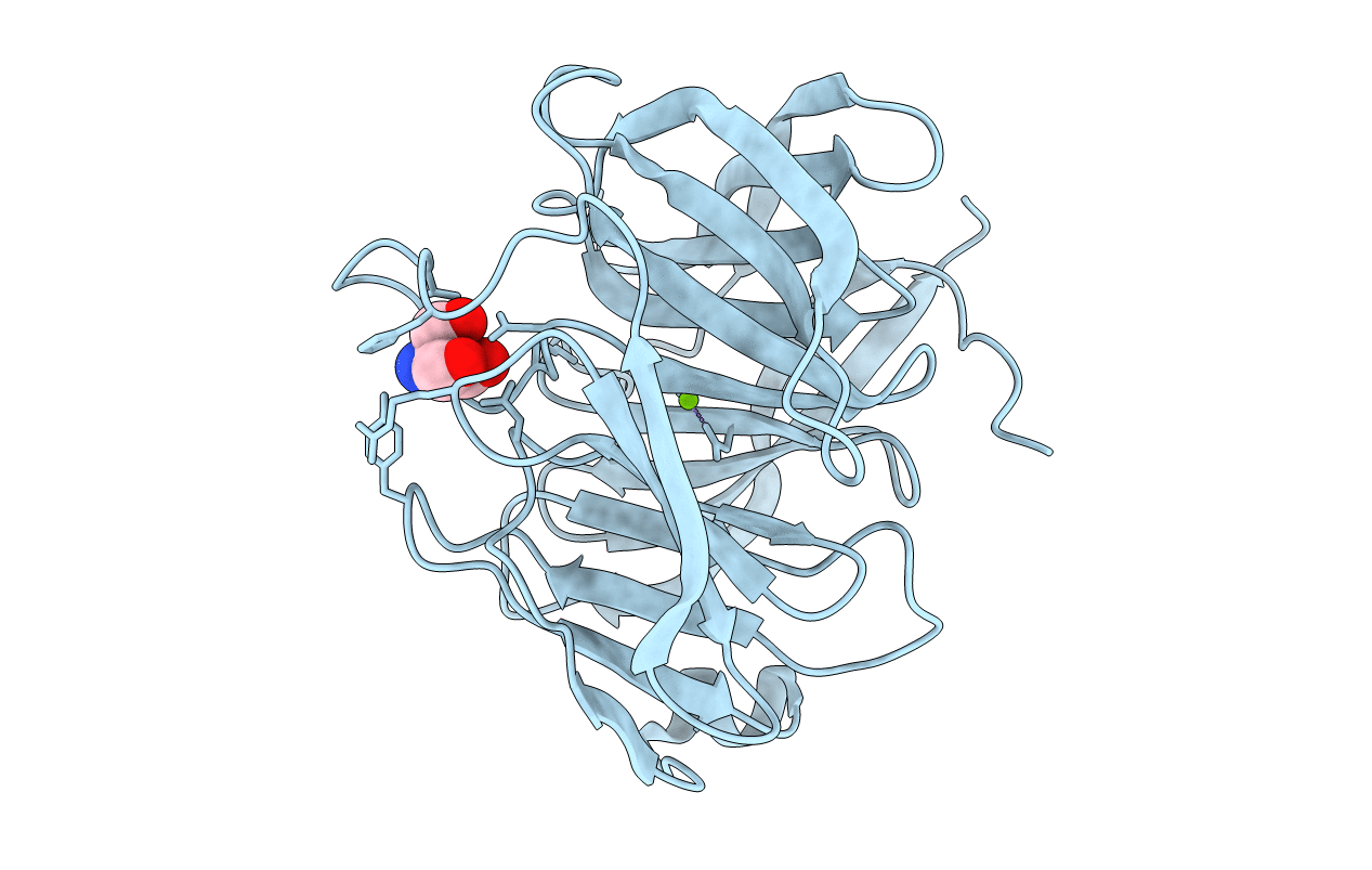 4RML image