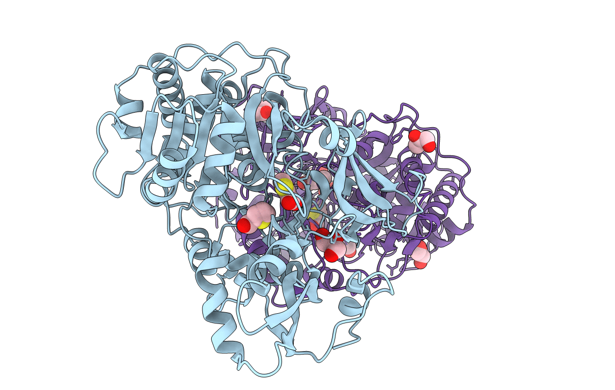 4RMN image