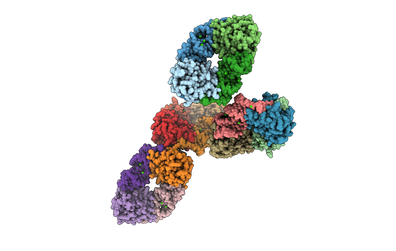 4RMO image