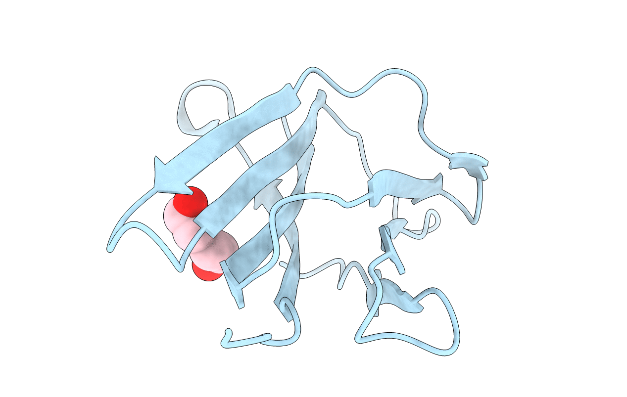 4RMQ image