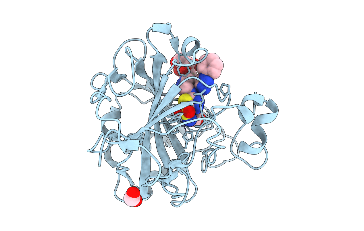 4RN4 image