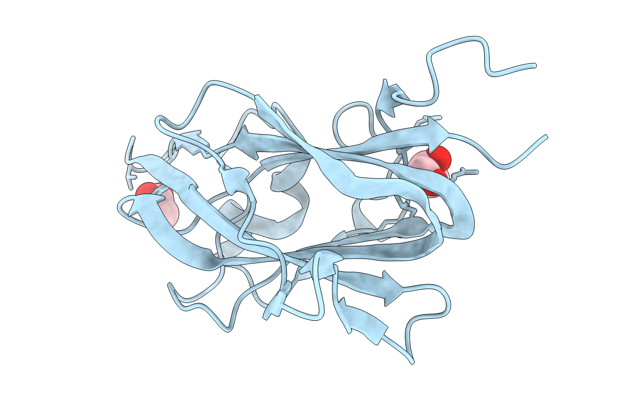 4RN5 image