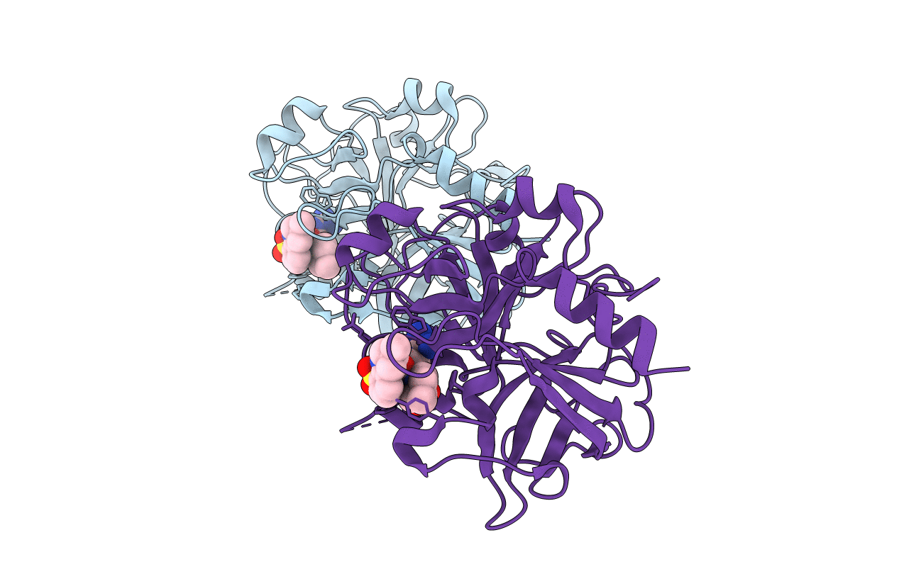 4RN6 image