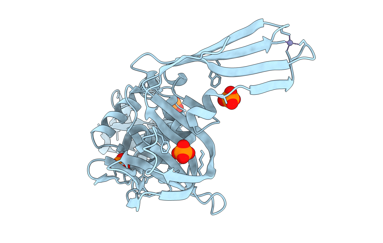 4RNA image