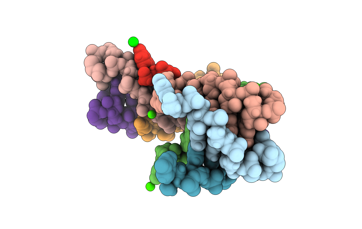 4RNE image