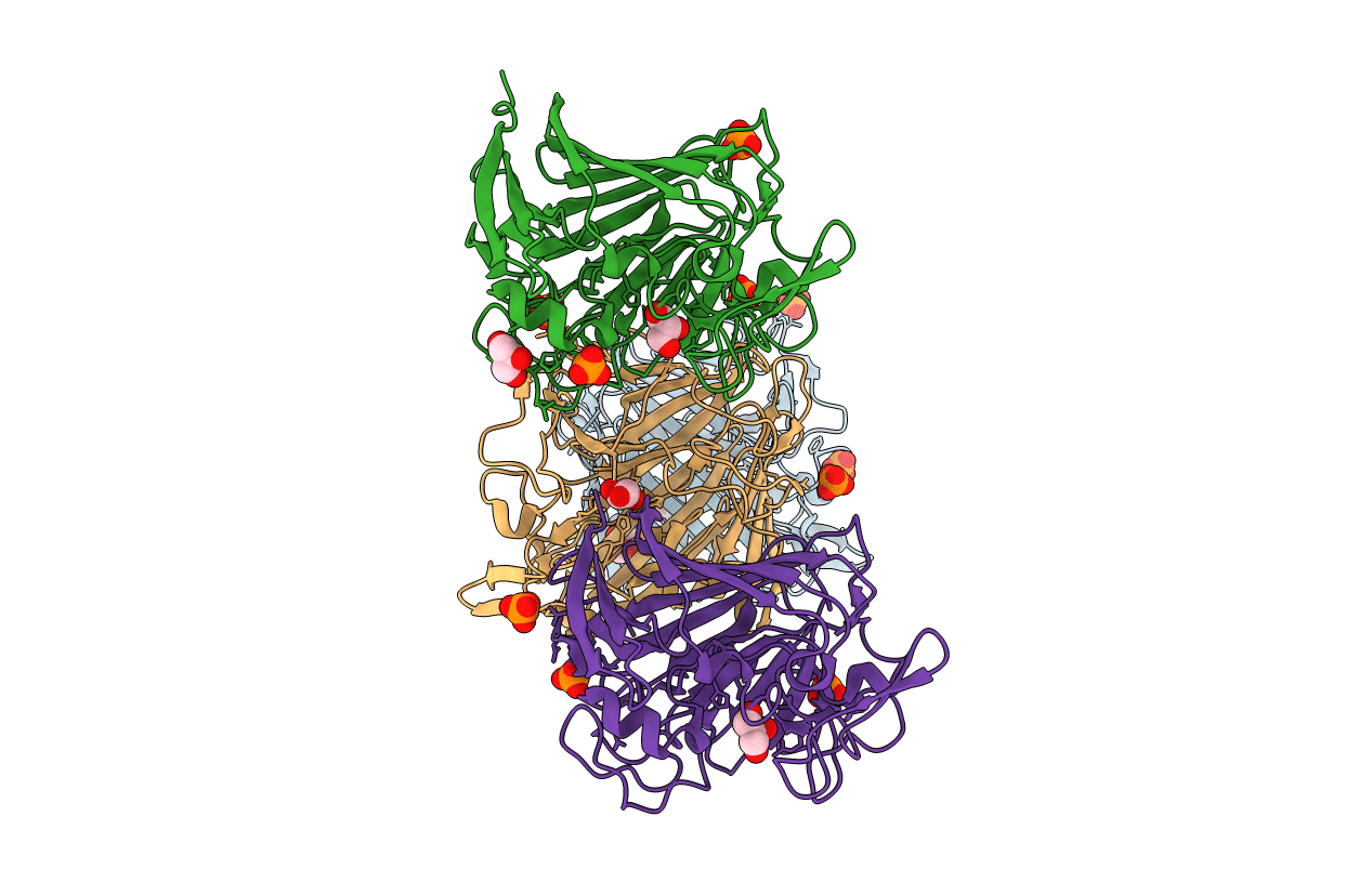 4RNL image