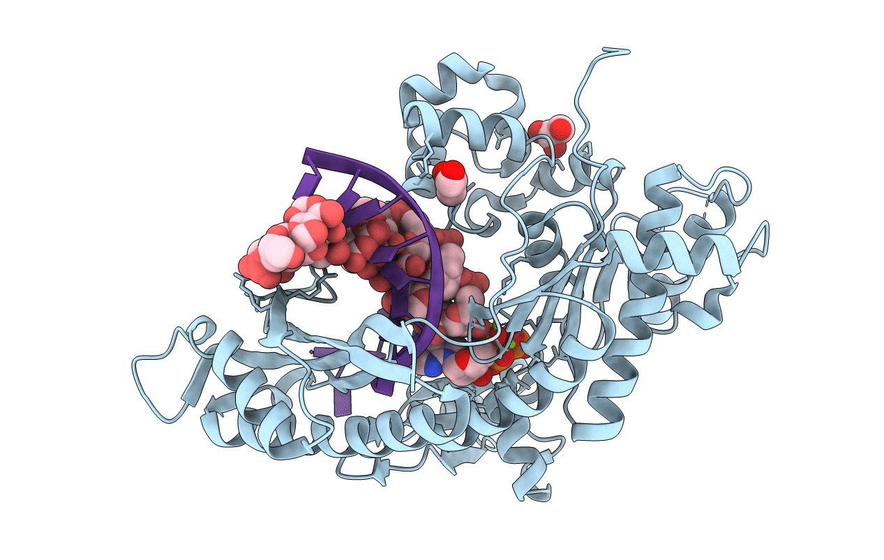 4RNM image