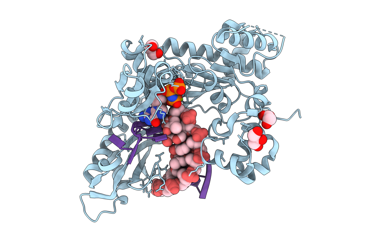 4RNN image