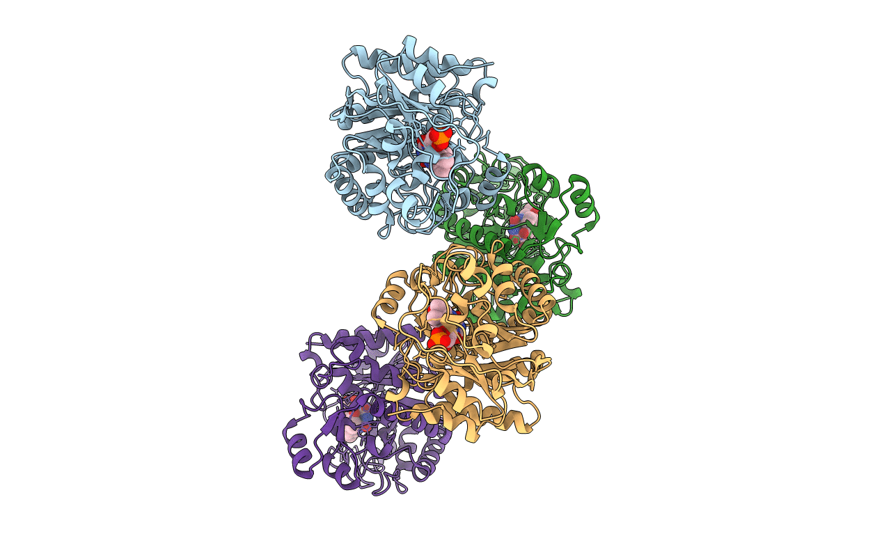 4RNV image