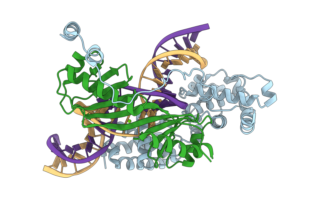 4ROC image