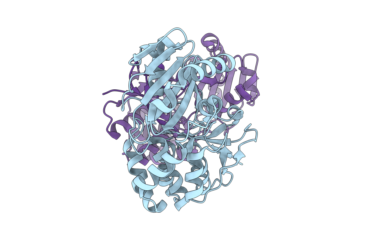 4RPA image