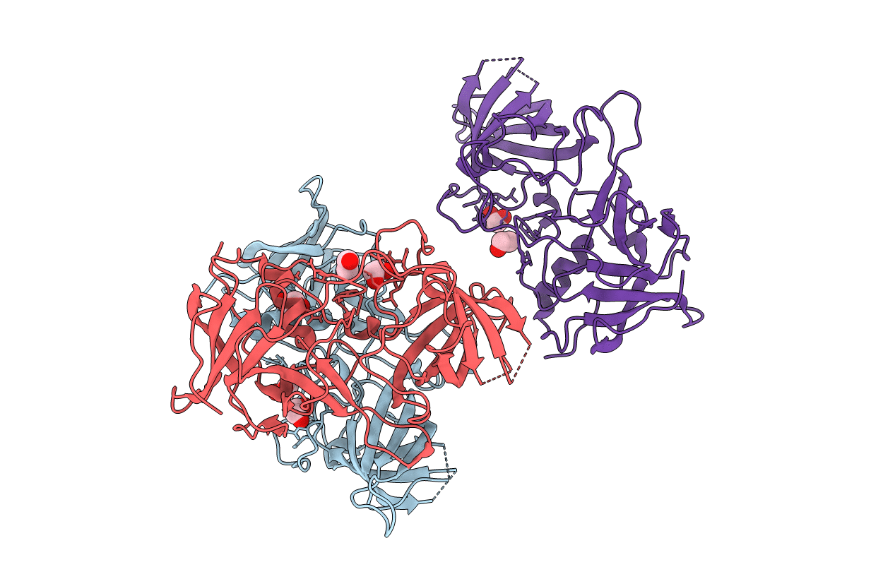 4RPB image