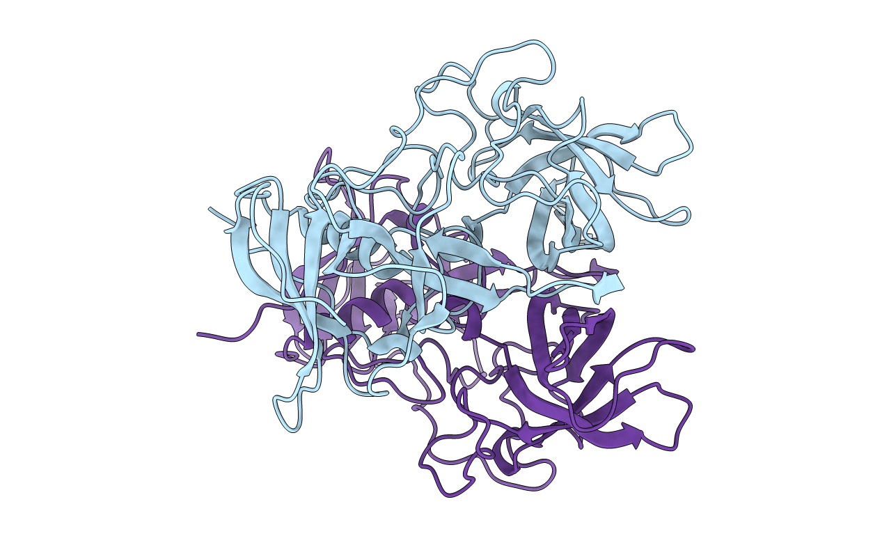 4RPD image